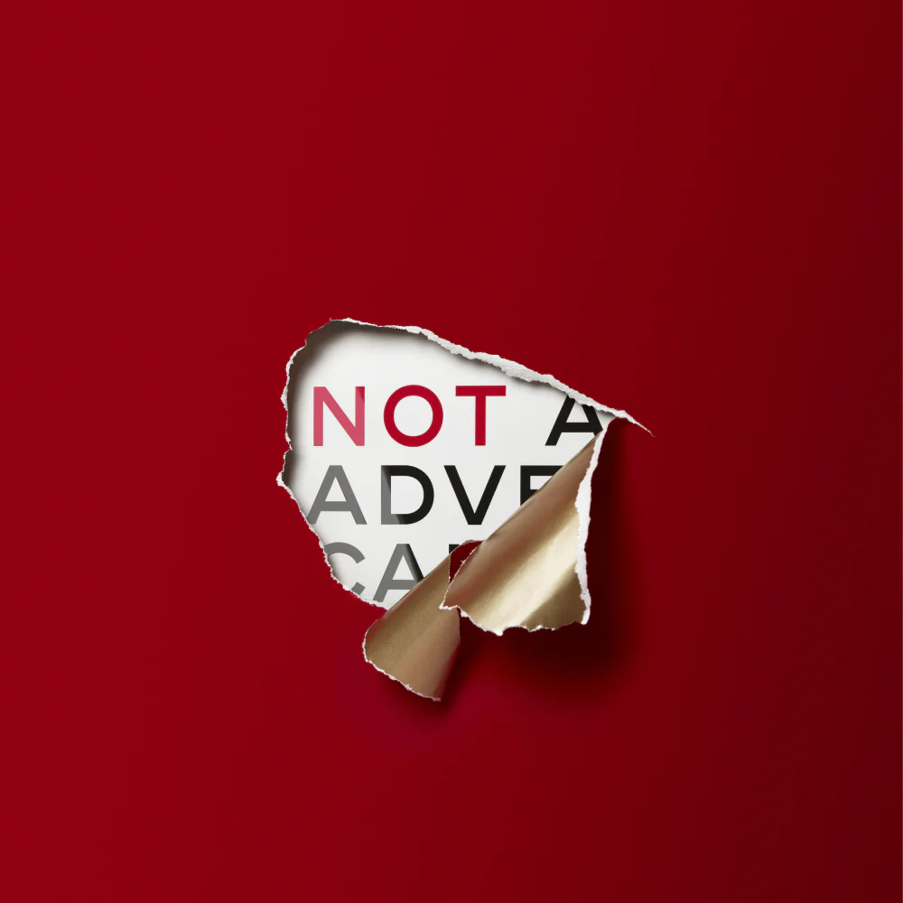 Not an Advent Calendar - Image 4